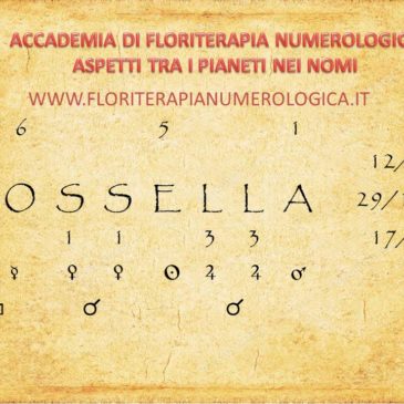 LA DIAGNOSTICA NUMEROLOGICA