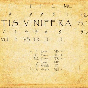 Analisi dei meridiani. Alla ricerca del giusto rimedio… seconda parte