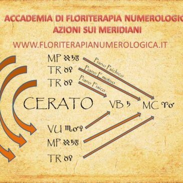 La nuova materia medica floreale