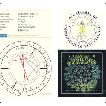 Floriterapia Astronumerologica… un sistema terapeutico anche per Astrologi professionisti